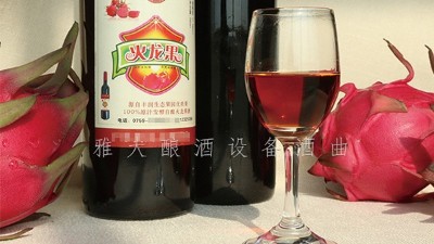 雅大釀酒設(shè)備廠家，果酒研發(fā)一年四季不打烊